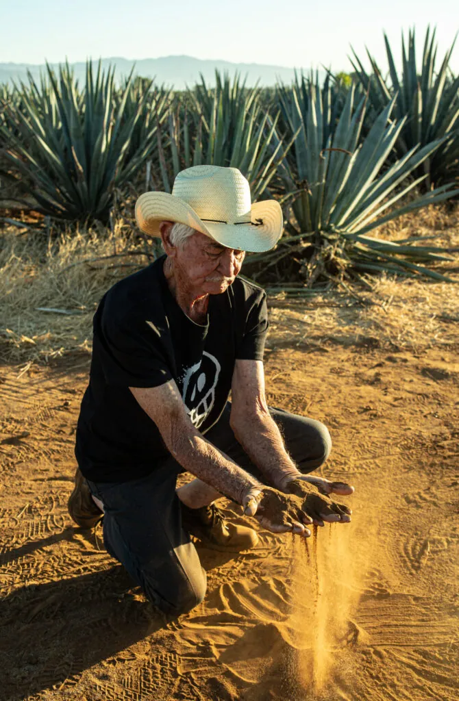 Checking the soil in the agave fields of Jalisco